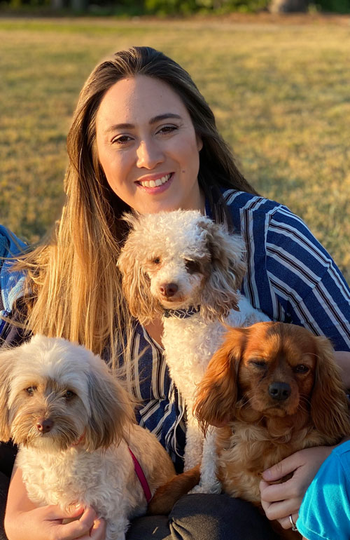 Cavapoo puppies for sale near me