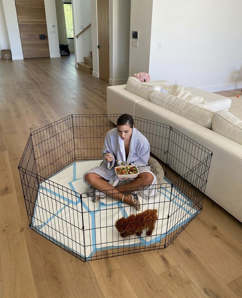 Puppy Parent Success Story