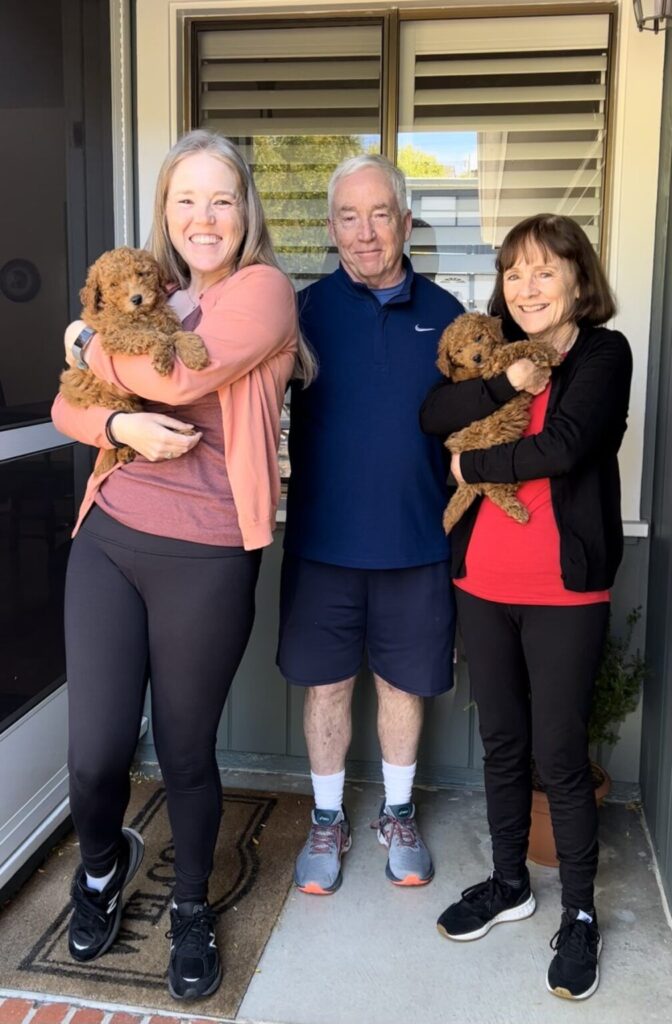 healthy Cavapoo puppy