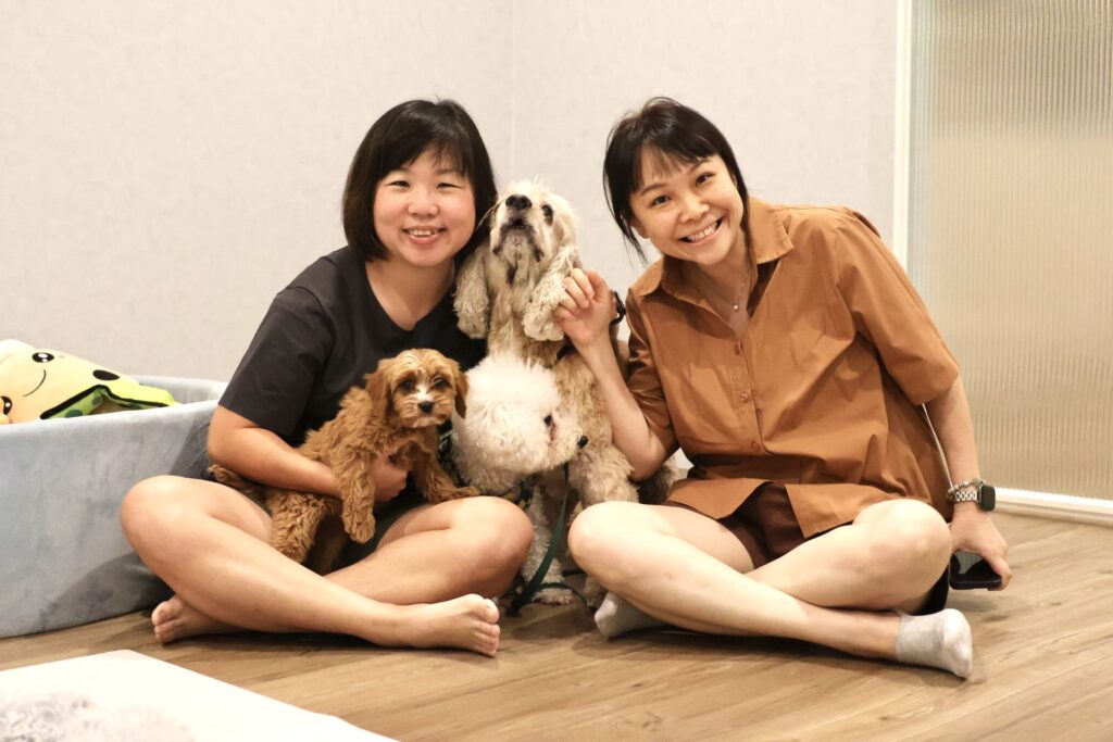 All About Doodles and Doodle Breeds