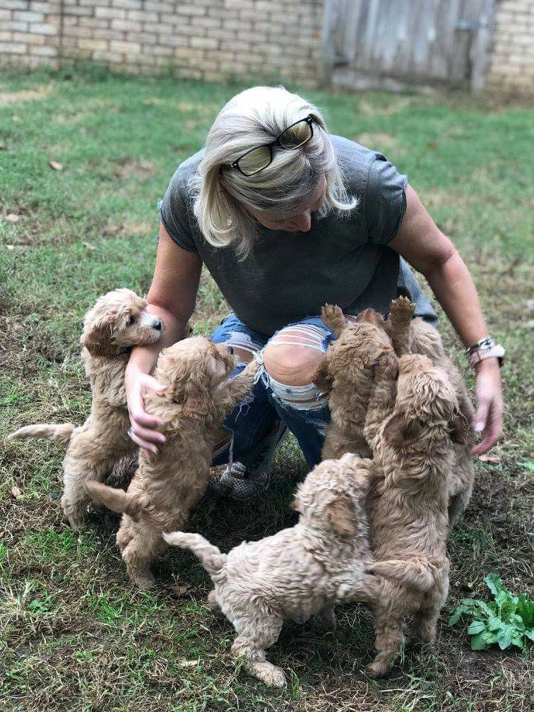 Breeder Selling Safety Tips