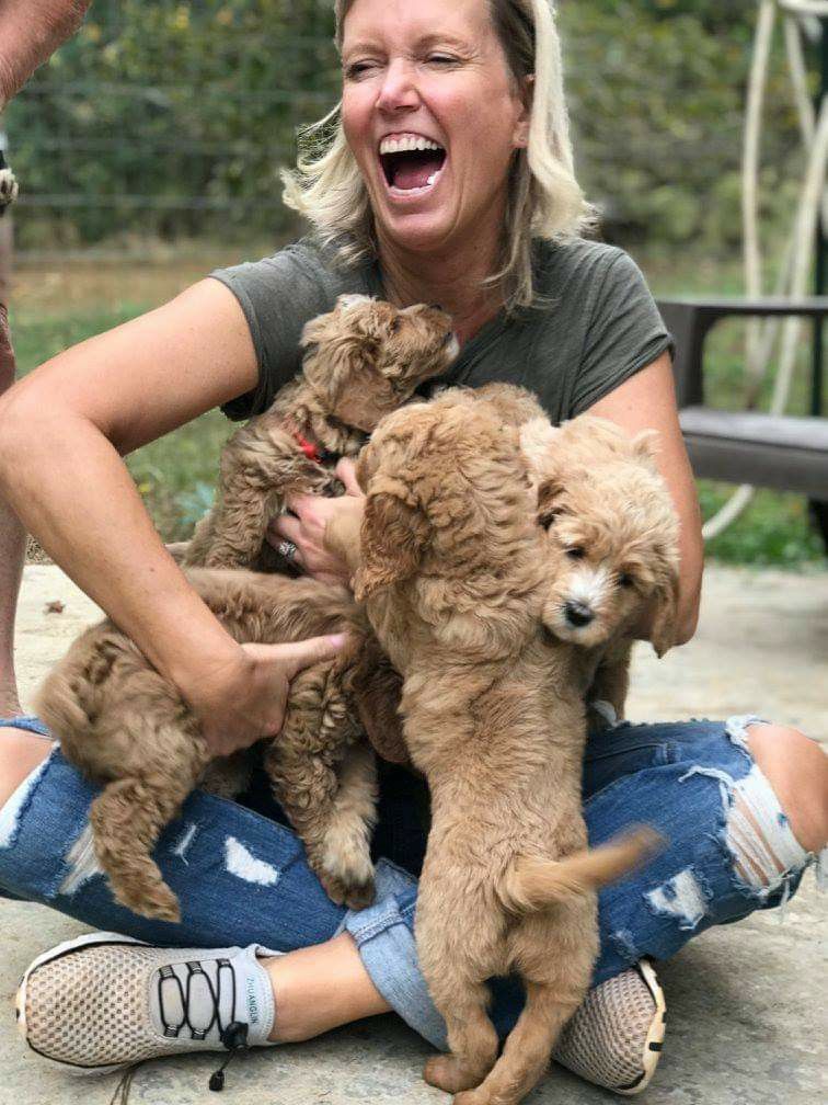 Best Dog Breeds for an Active Lifestyle