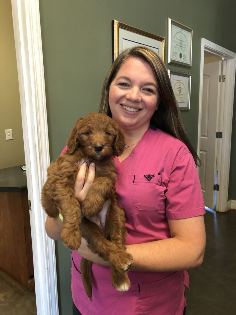puppy vaccines and deworming puppy vaccines and deworming