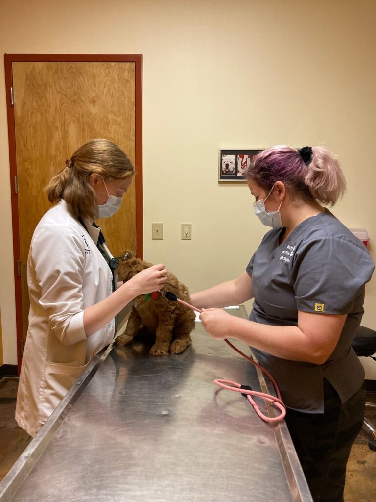 Puppy Health Guarantee