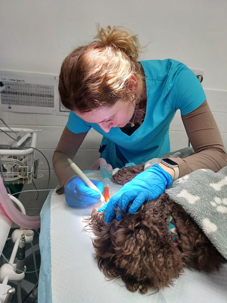 Dog Dental Month