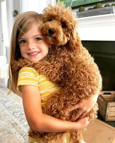 Cavapoo puppy first year