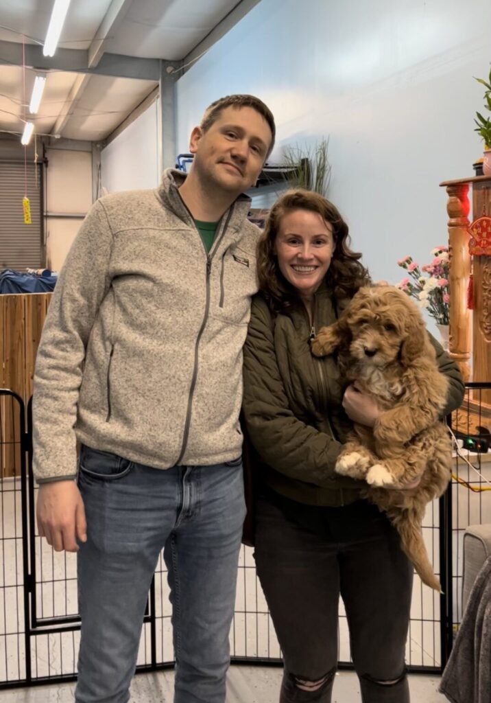 Cavapoo puppy first year
