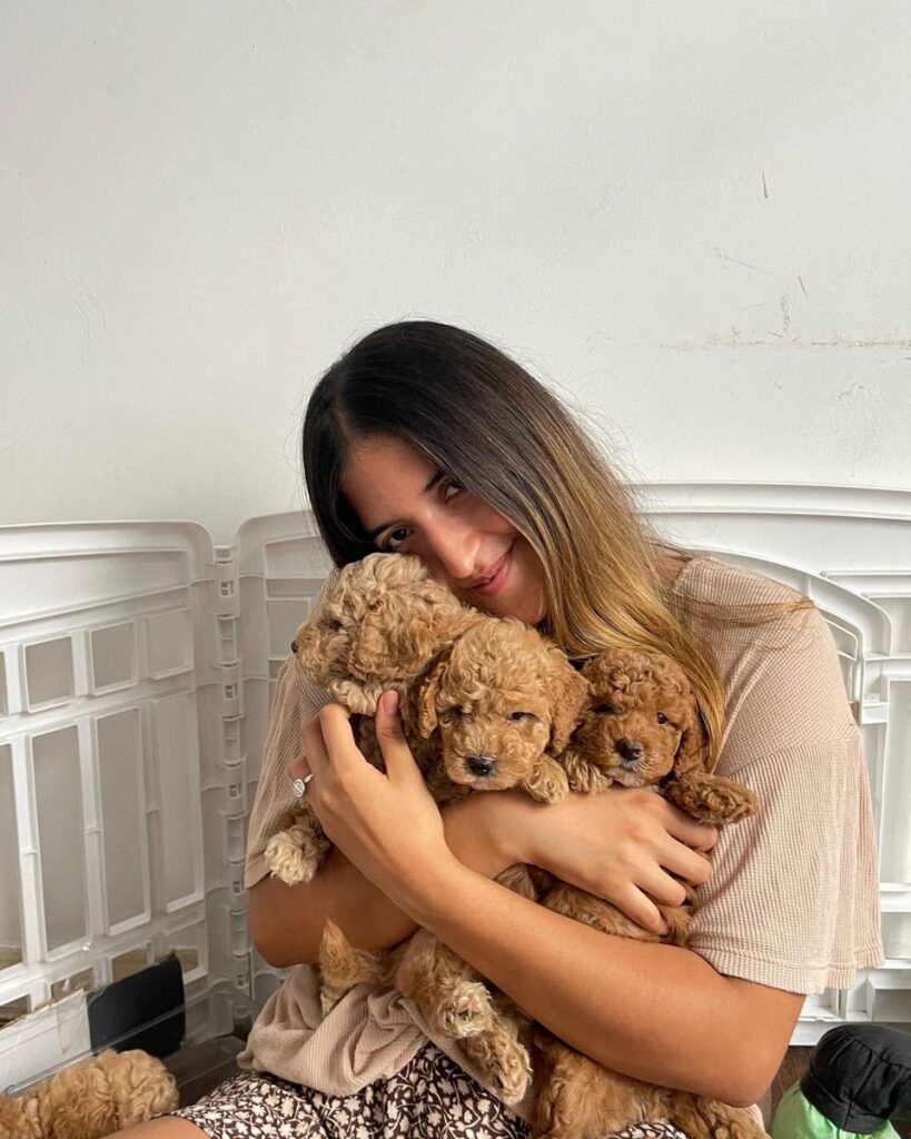 How to Choose the Right Size puppy for Your Family