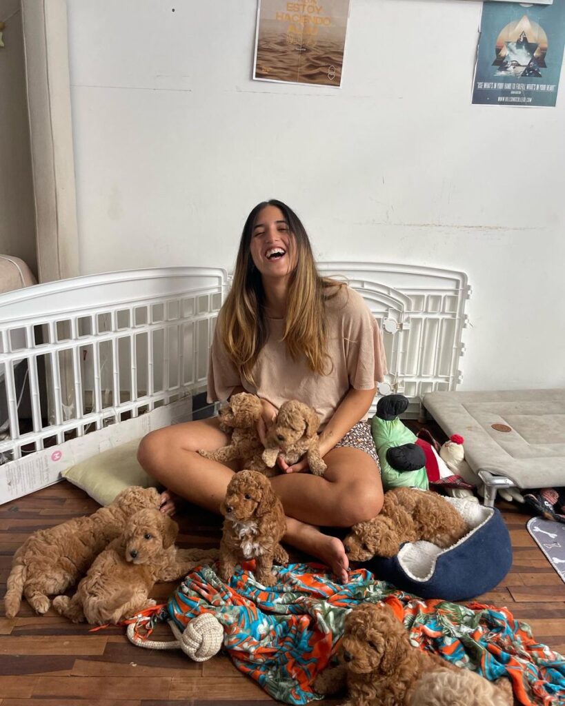 How to Choose the Right Size puppy for Your Family