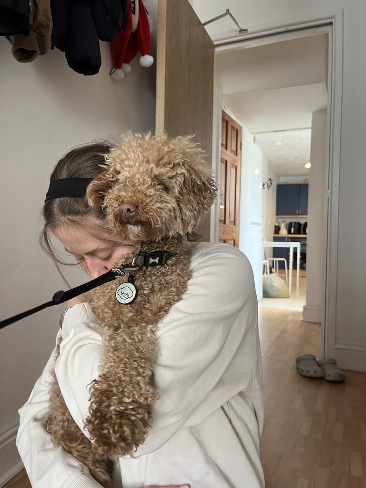 Introducing a Second Dog to Your Home