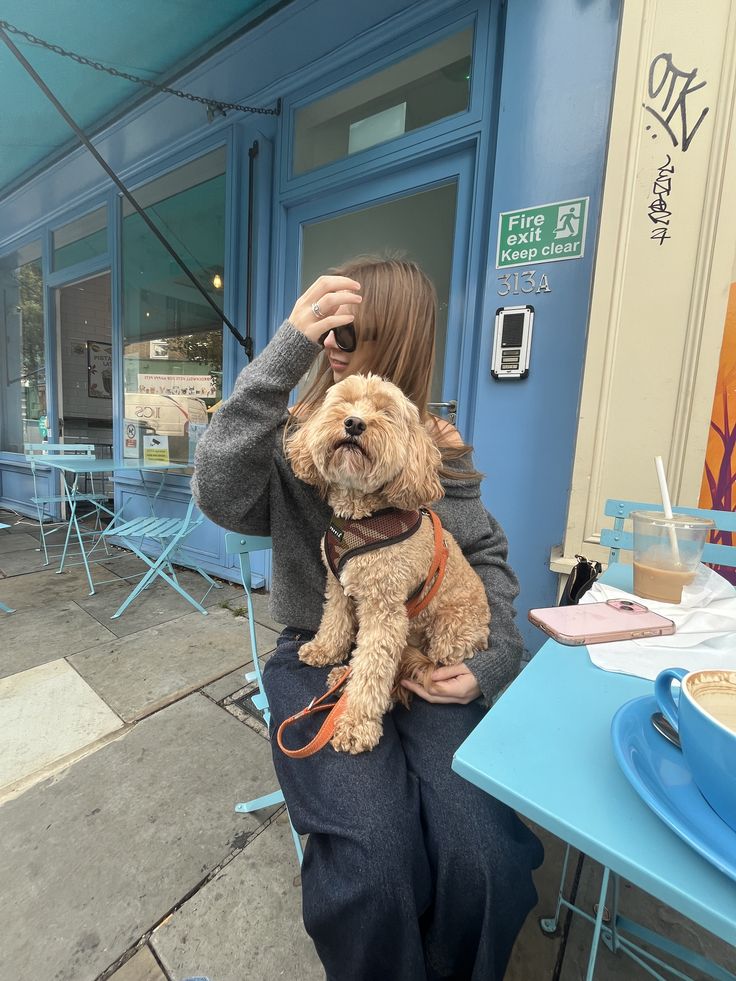 Introducing a Second Dog to Your Home