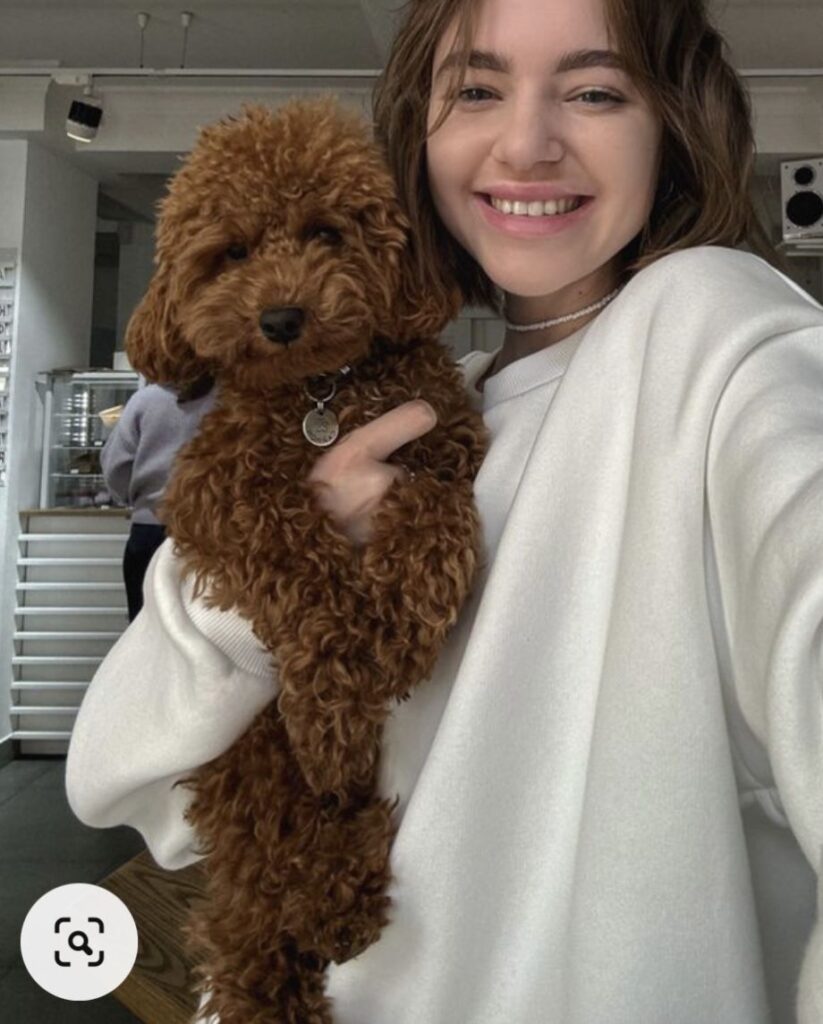 Introducing a Second Dog to Your Home