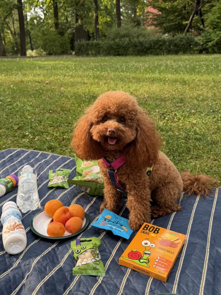 Summertime Is the Best Time for Puppy Photos