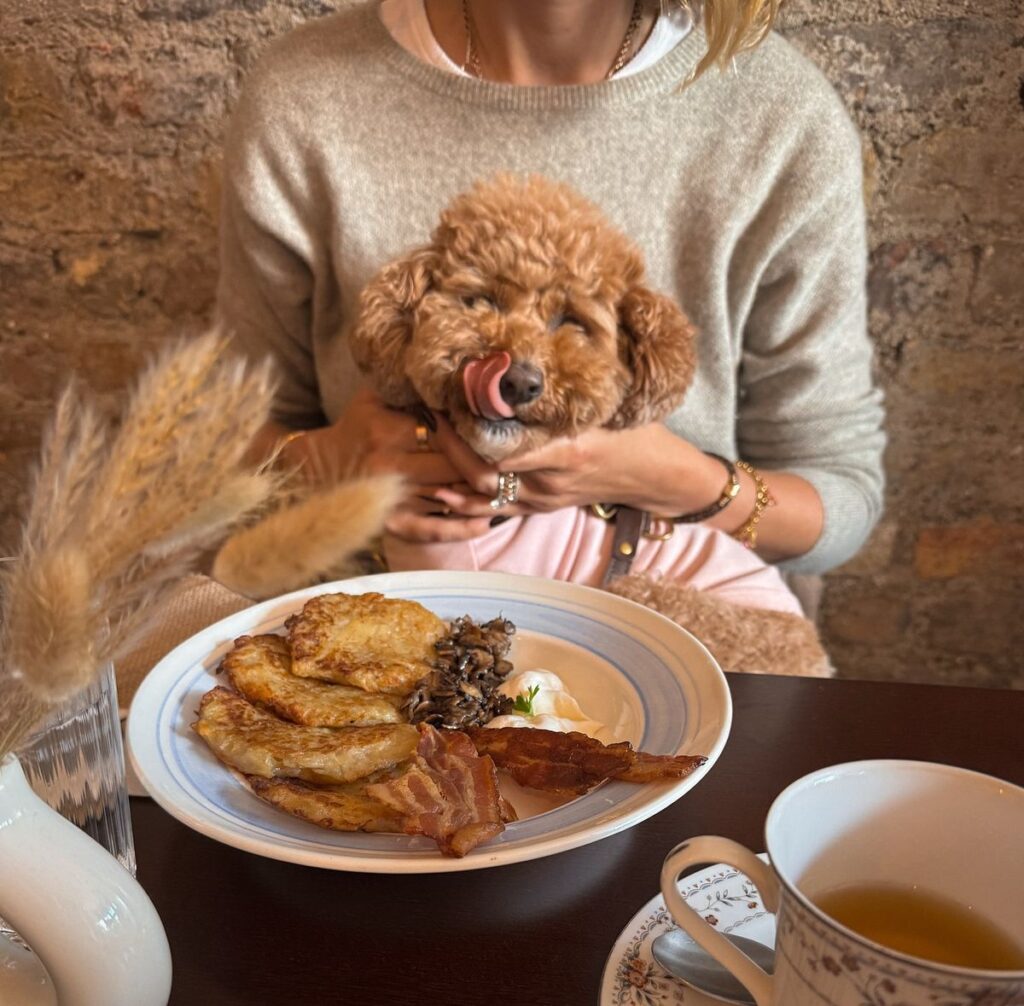 Top 5 Springtime Recipes for Your Dog