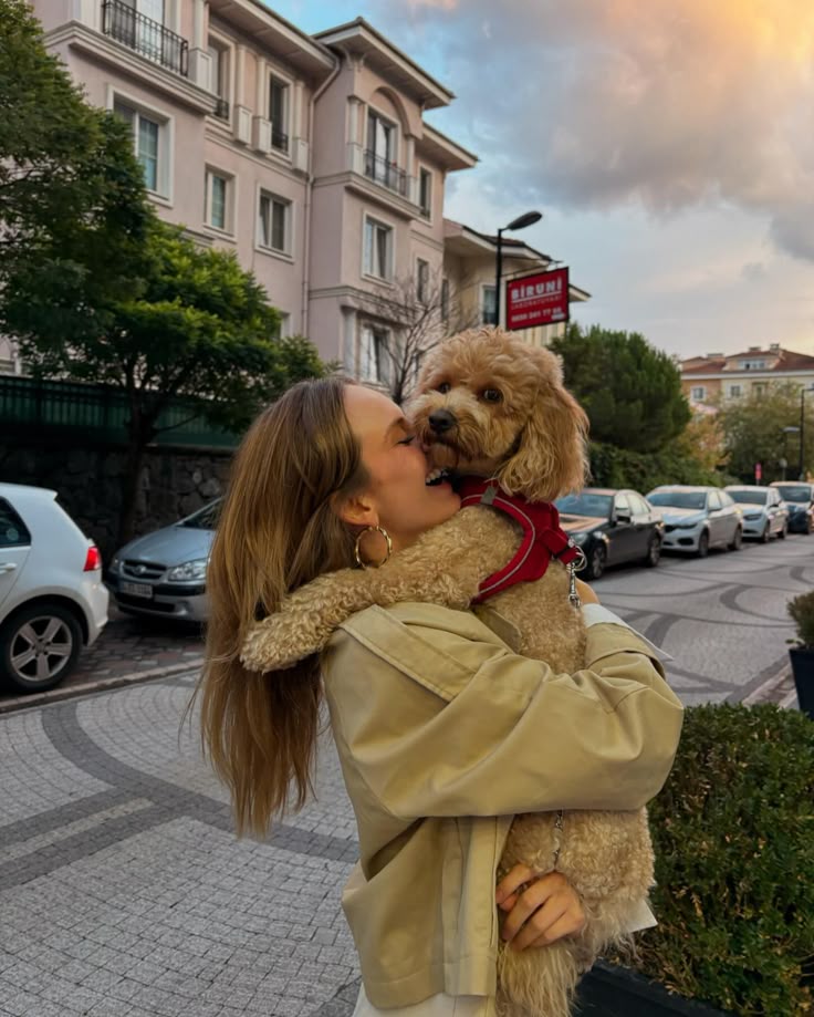 What Are the Benefits of Owning a Cavapoo What Are the Benefits of Owning a Cavapoo