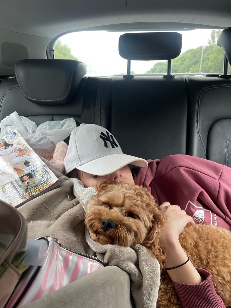 Camping With a Cavapoo