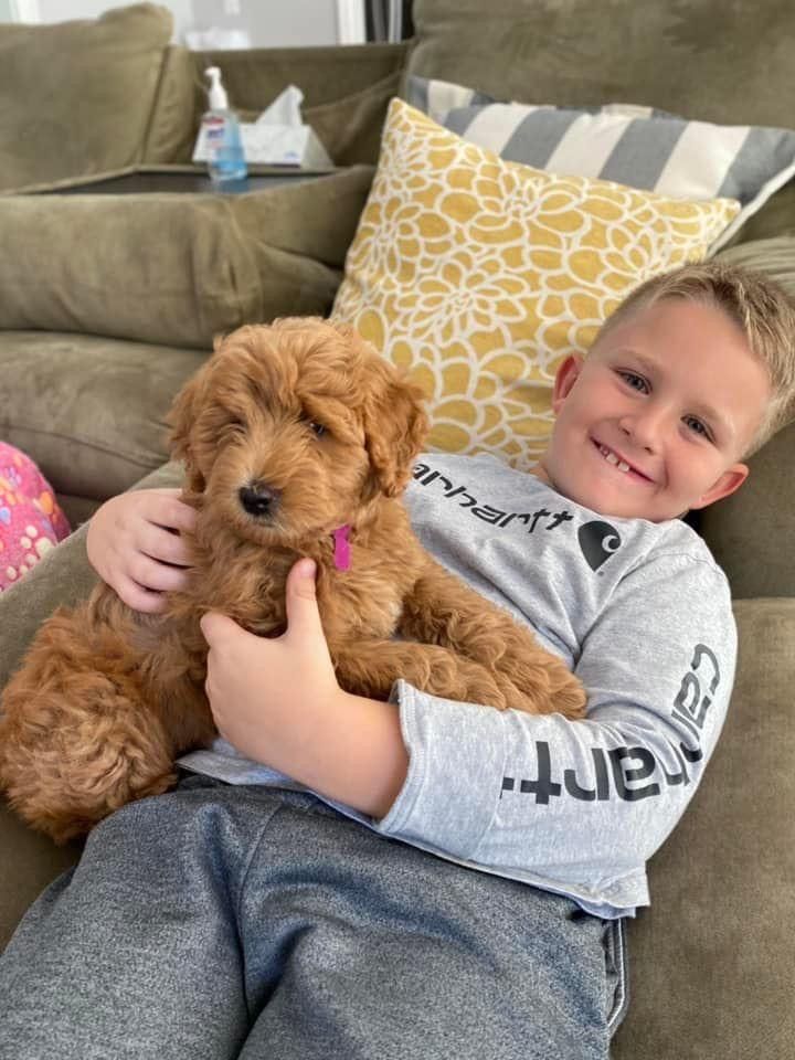 best dogs for families with children