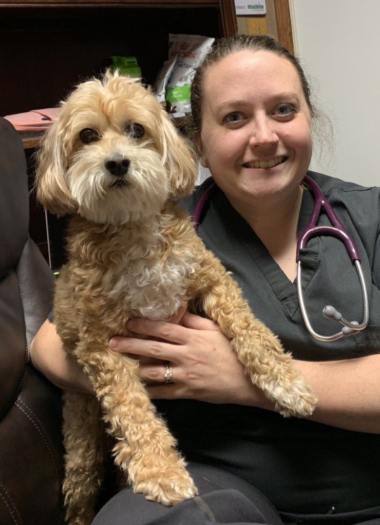 Puppy Vaccines Explained