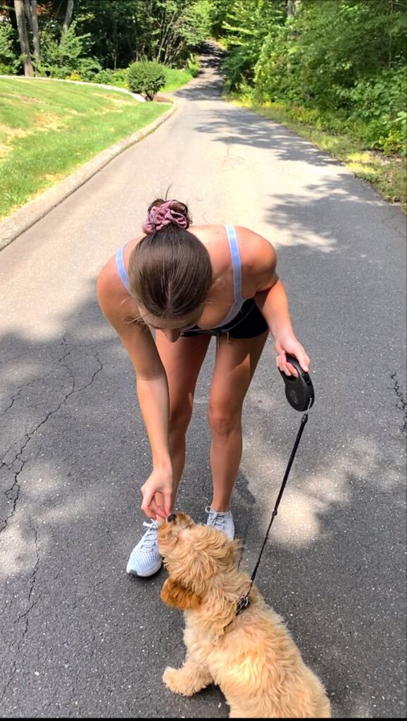 Best Dog Breeds for an Active Lifestyle
