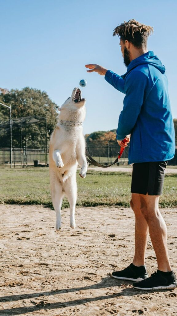how much exercise does a dog need