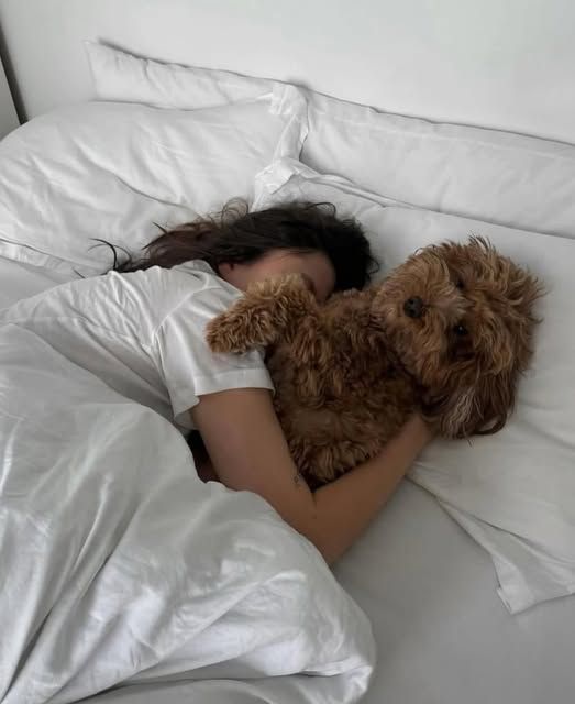 Sleeping With Your Cavapoo