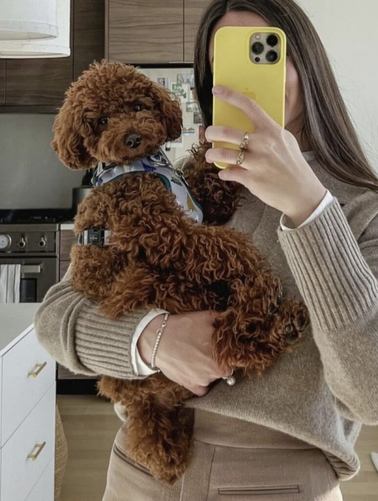mind-blowing dog facts