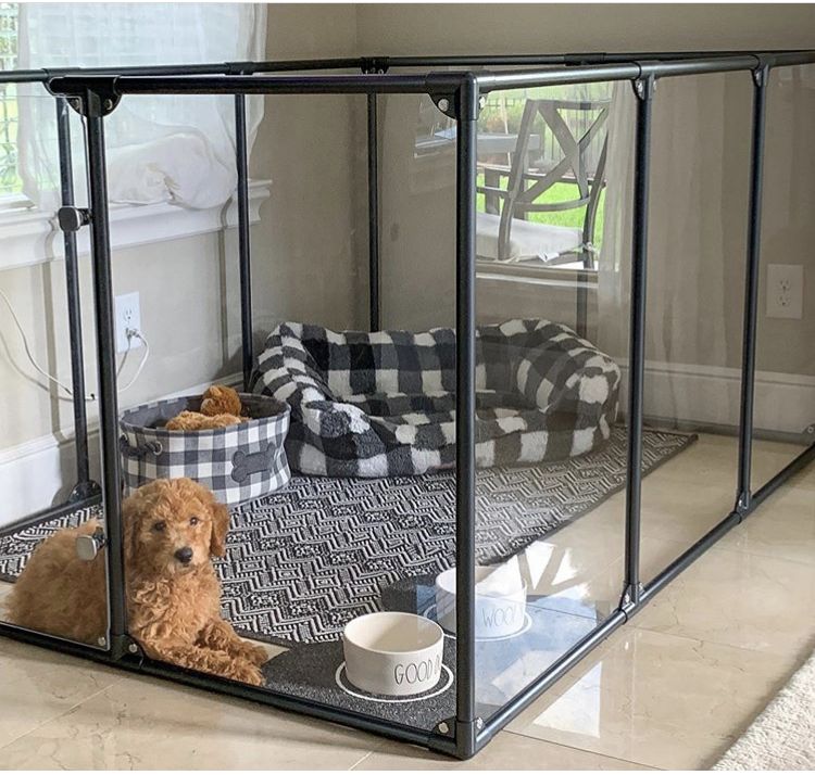 pet sitters vs kennels