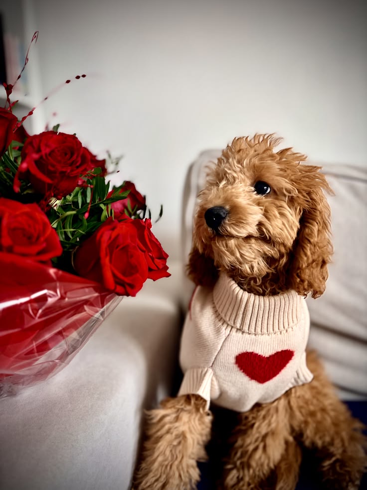 Valentine’s Day Gift for Mom